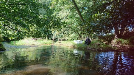 Elektrobefischung in einer strukturreichen Äschenregion in Hessen