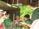 Vorstellung von Flusskrebsen für Kinder