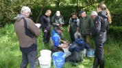 Auszählen der Fische nach E-Befischung an der UIster mit ortsansässigem Verein